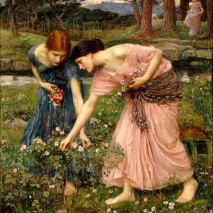 Solstizio d'estate e la leggenda di San giovanni: la raccolta fiori 
